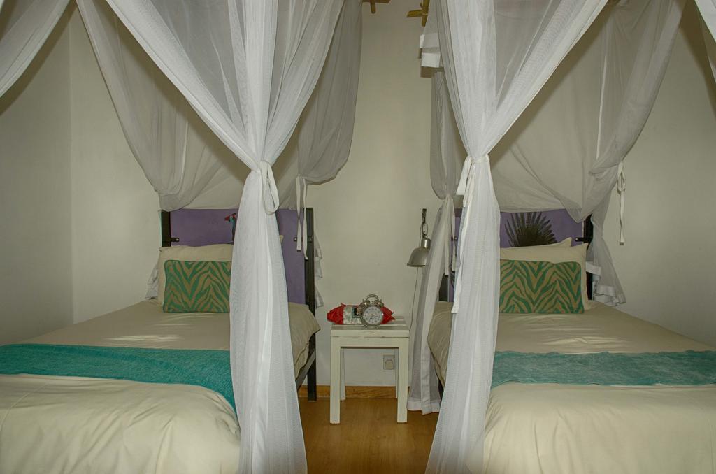 The Old House Bed & Breakfast Kasane Luaran gambar
